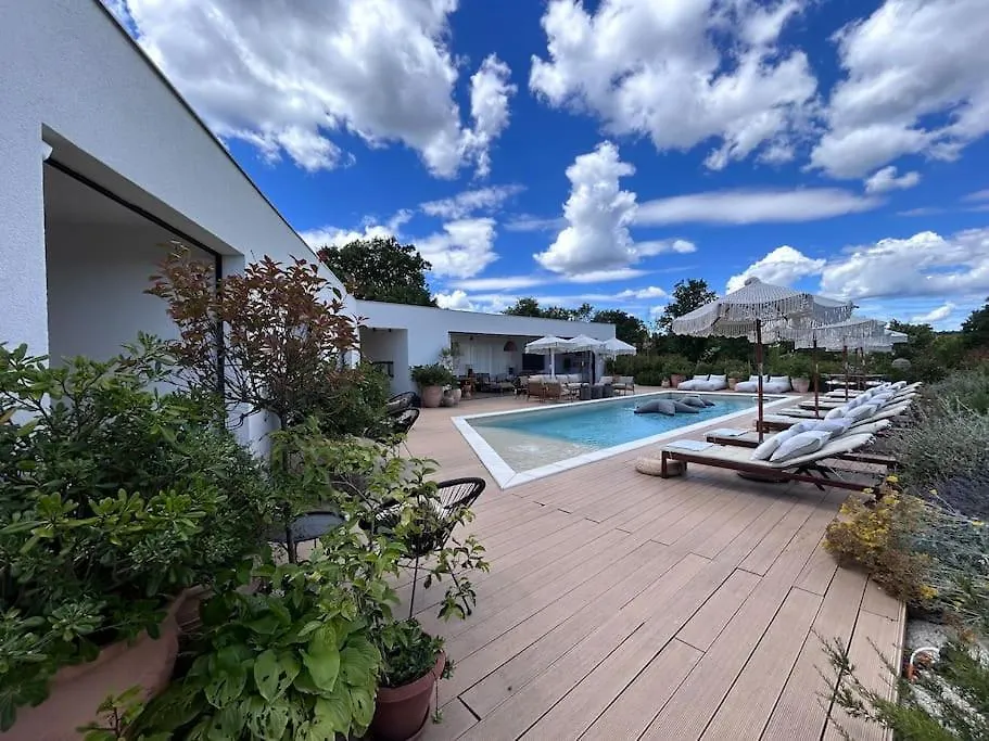 Casa Jena Istria - Villa With Amazing Pool Kringa